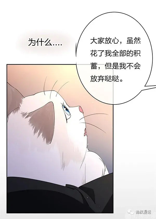 人性诡异漫画《绿茶猫》,如果不爱,请别伤害!