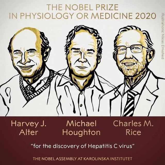 三位科学家获2020年诺贝尔生理学或医学奖,他们是谁?