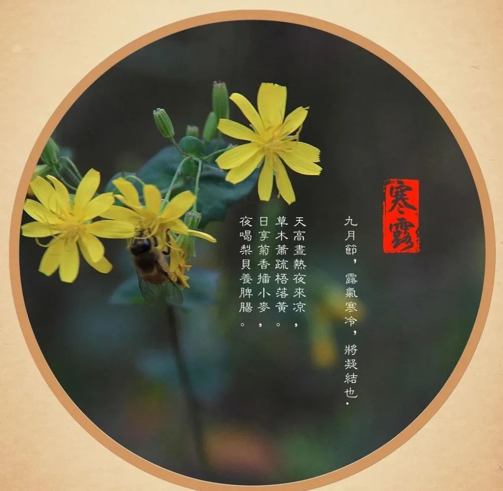 寒露节气微信祝福句子 发朋友圈的寒露说说句子