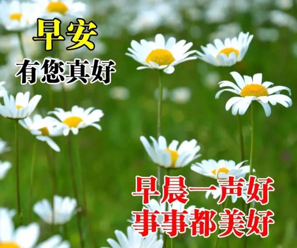 清晨问候朋友的温馨语录 早上好祝福动态表情图片