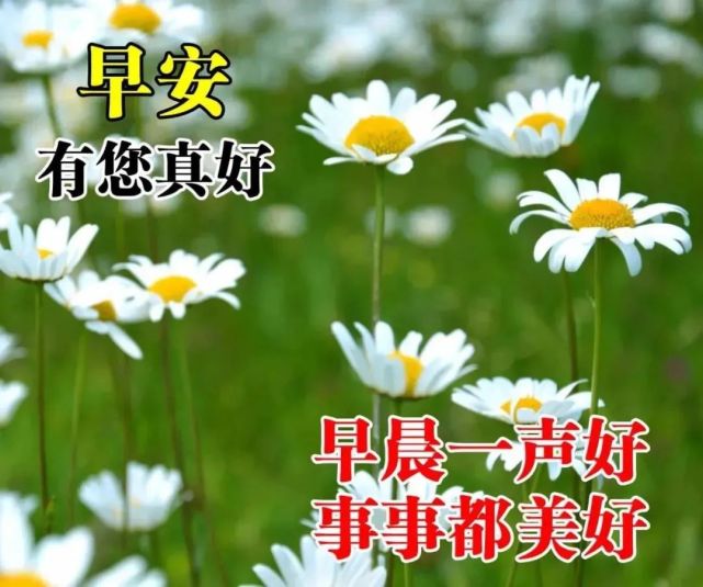 清晨问候朋友的温馨语录 早上好祝福动态表情图片