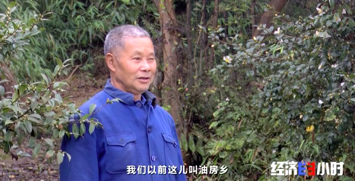 油茶地彭昌文跟其他10多个贫困户一起,管护着村里油茶种植农民专业