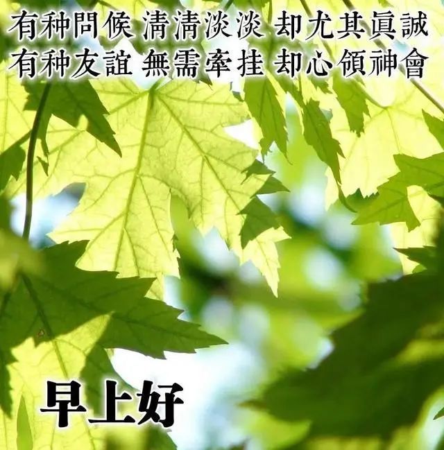 9月22日早安问候暖心语录清晨祝福朋友的早安图片