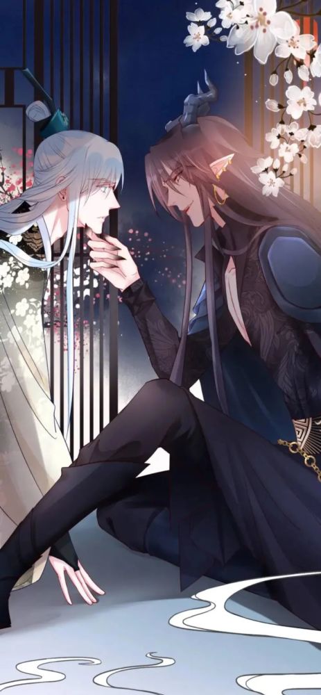 魔尊要抱抱壁纸