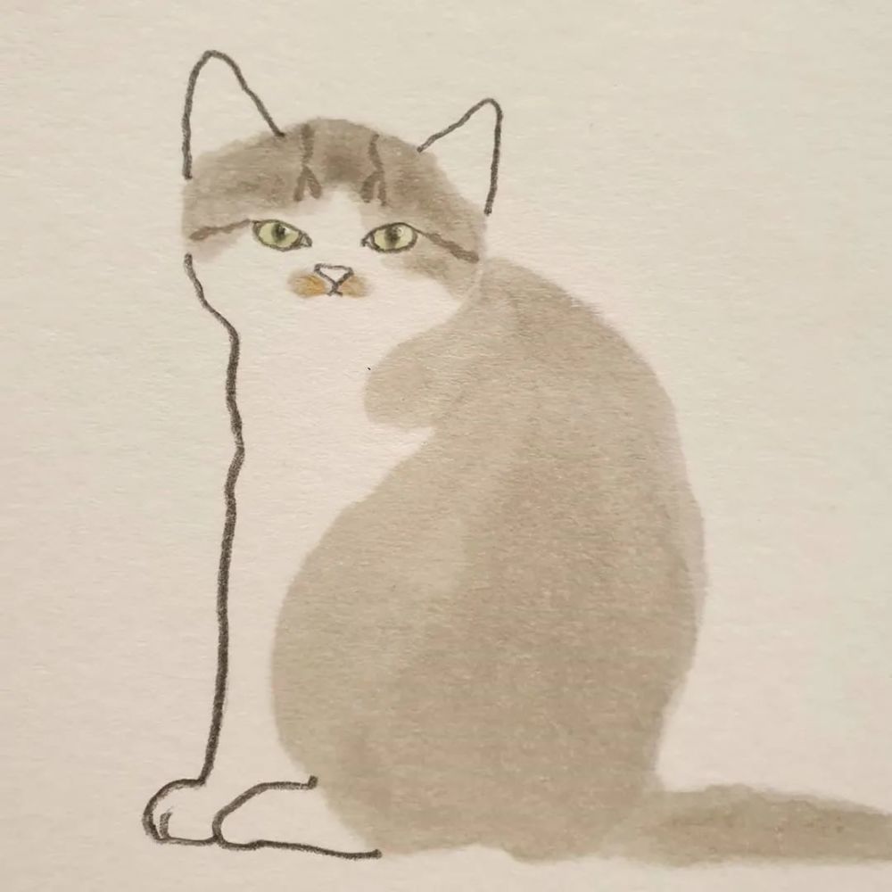 懒懒的猫咪独特的观感