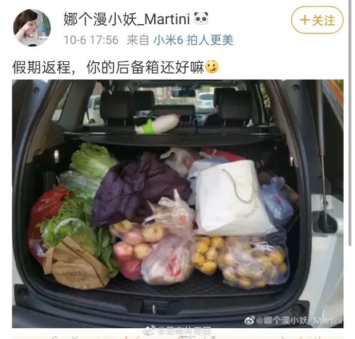 濮阳老乡返程后后备箱里塞满了