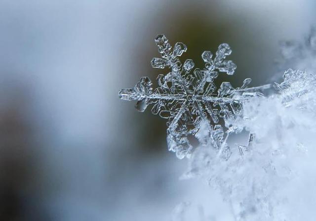 多地解锁雪景模式,你在的那座城市下雪了吗?