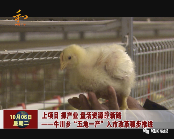 牛川乡人口_人口普查(3)