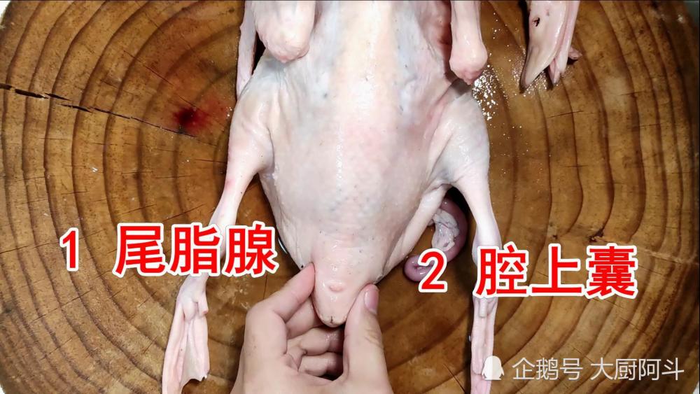 部位易有炎症;鸭屁股上有两种腺体不能吃,一个是尾脂腺,一个是腔上囊
