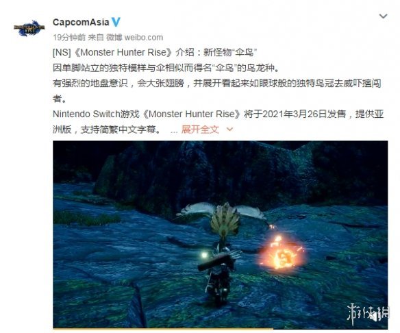 《怪物猎人:崛起》新怪物介绍!金鸡独立的