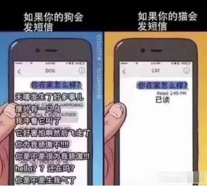 "好家伙,这是哪里违章了?网友:表情过于嚣张……哈哈哈哈"