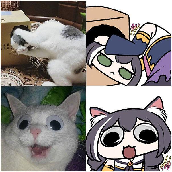 家里有猫多欢乐画师大佬把猫咪和公主连结做了结合快给我变