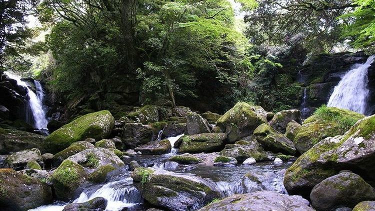 在日本熊本自驾游探访自然小众景点在山林溪谷边悠闲漫步