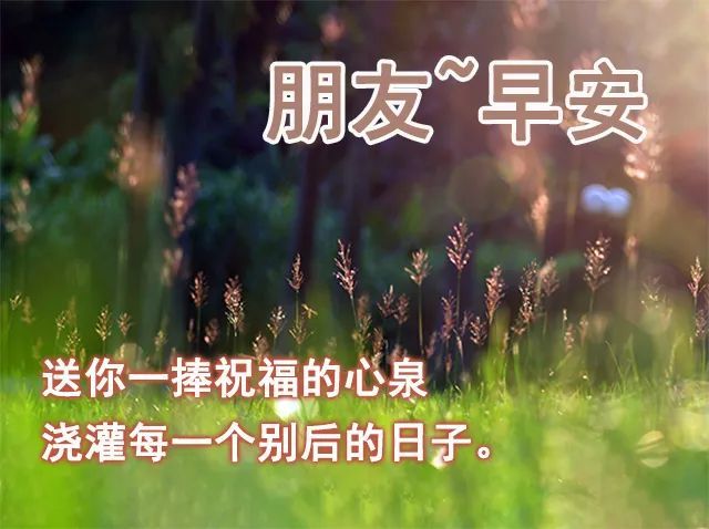 九月初八早晨问候语图片带鲜花,周六早上好祝福图片表情大全