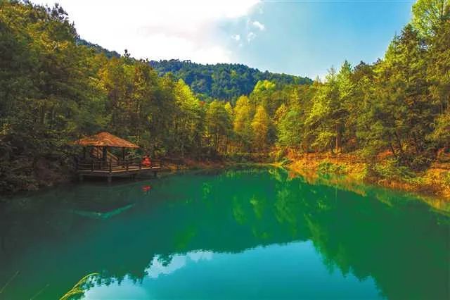 九凤山风景区-九凤瑶池 寨山坪森林公园——九凤山风景区——贝迪