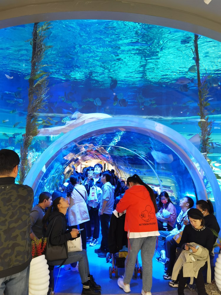 兰州不止有牛肉面,兰州新地标,西北首个单体海洋世界_腾讯新闻