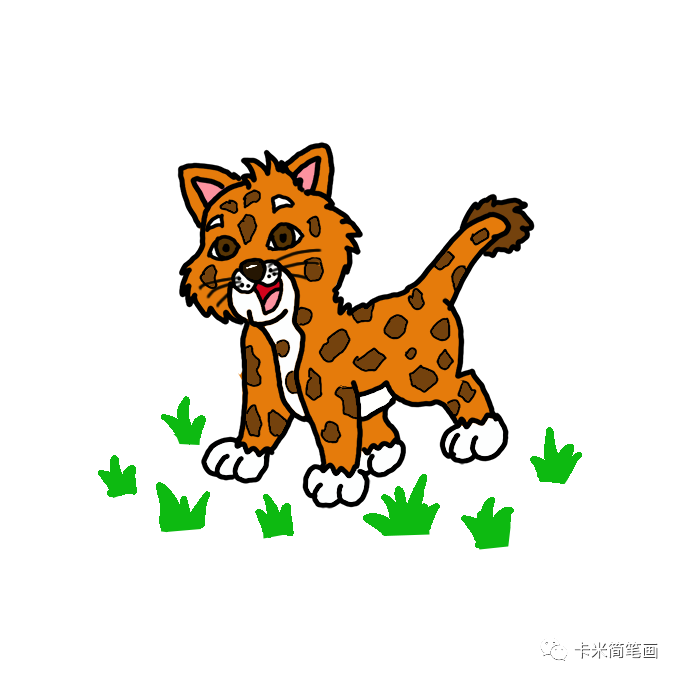 小美洲豹怎么画-卡通美洲豹简笔画教程