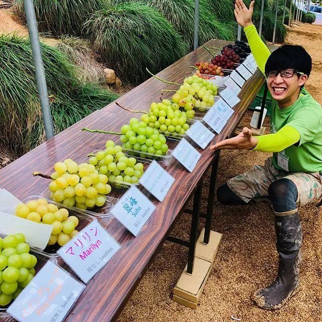 走进日本一家有150年历史的果园,高颜值,高效益,它是如何做到的?