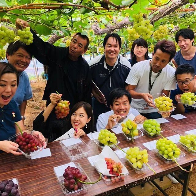 走进日本一家有150年历史的果园,高颜值,高效益,它是如何做到的?