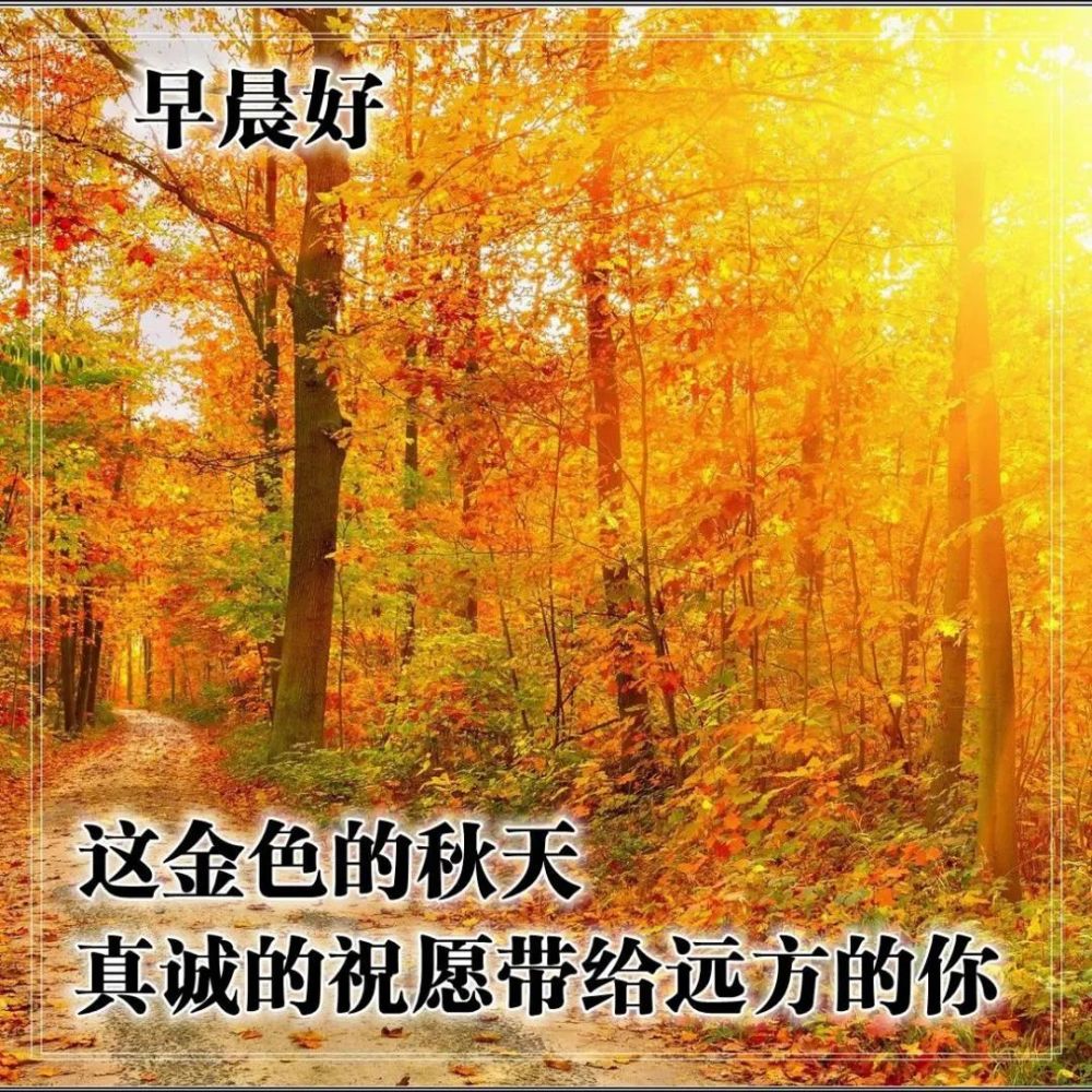 金秋十月最美的早上好问候语图片大全,早晨好阳光祝福语图片表情合集