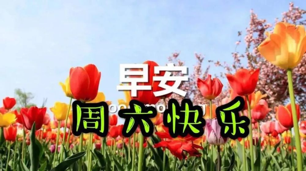 10月10日周六最新早上好问候祝福动态表情图片 最新早安问候语动态