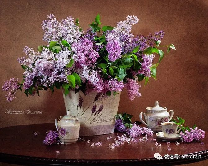 静物摄影:花卉摄影作品