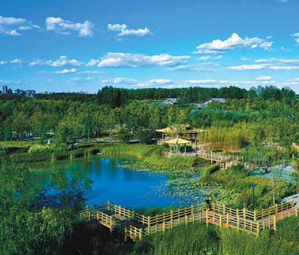 北京城市绿心森林公园正式开园