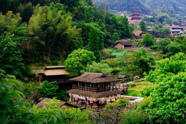 六月的浙江丽水景宁县,铺天盖地的绿意袭来,带来无尽的绿意与芬芳.