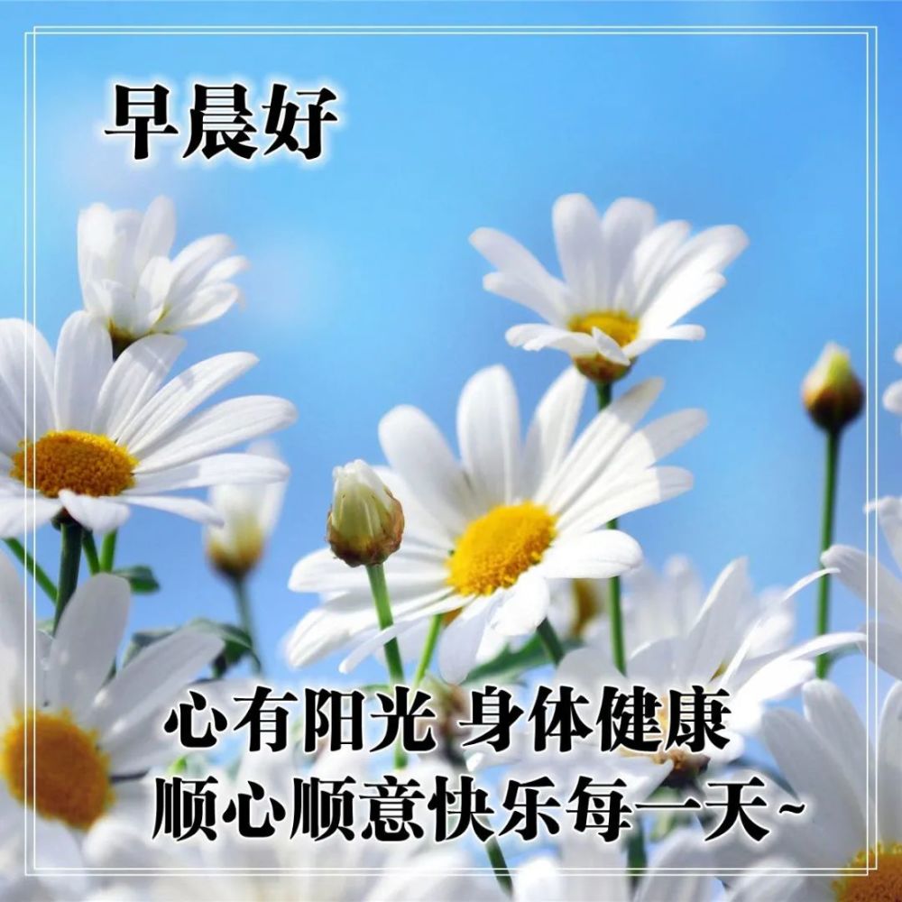 发朋友圈超赞的早安正能量句子,精致美好的早上好问候