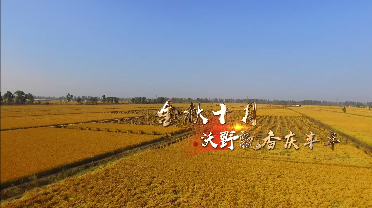 金秋十月,沃野飘香庆丰年; 喜迎双节,千家万户乐团圆; 绿水青山,理想