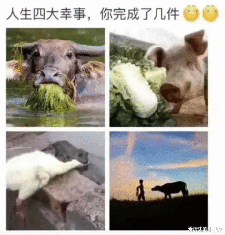 长算什么成语_成语故事简笔画(3)