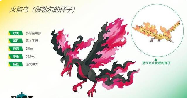 口袋妖怪:小豪收服了闪电鸟?闪电鸟的实力为何强于另外两只