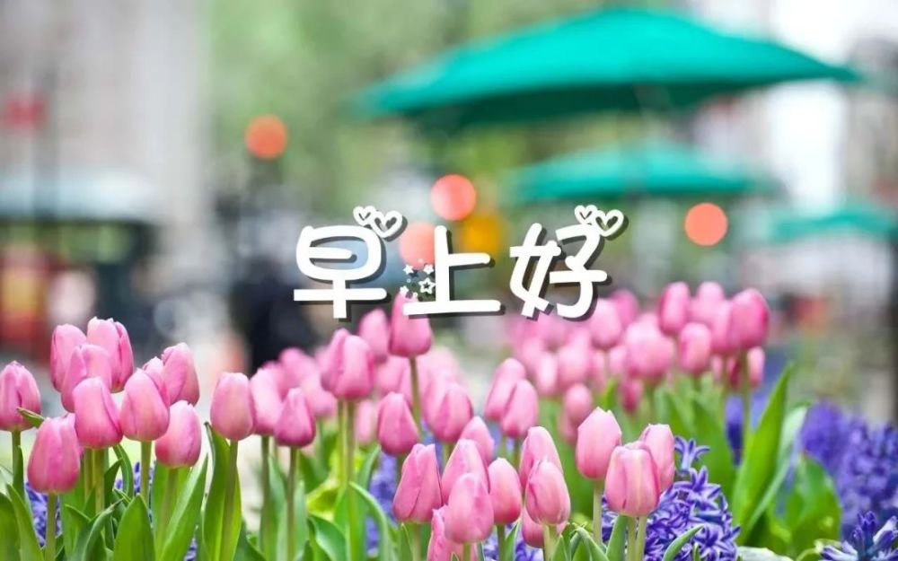 4月第一天,早上好问候!