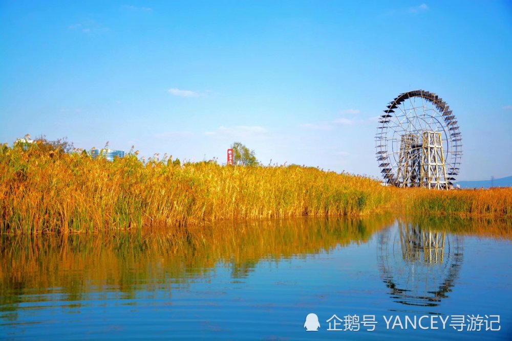在太湖湿地公园赶赴一场秋天的童话