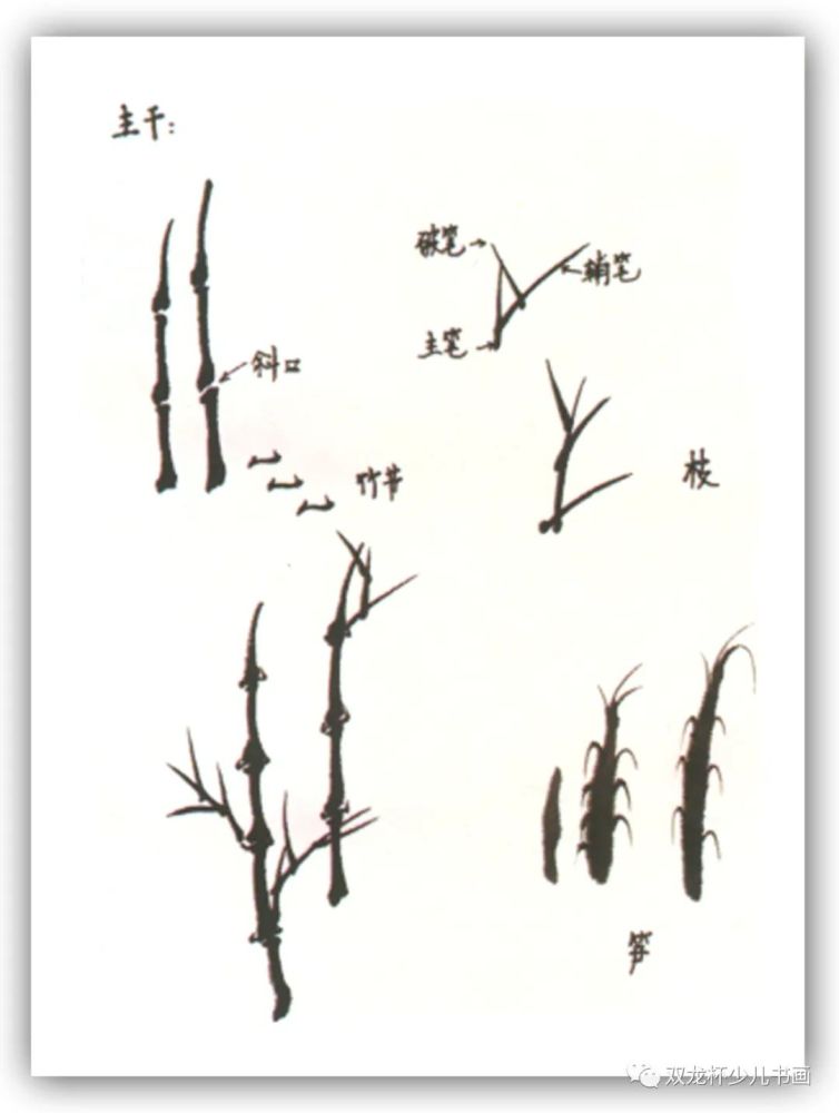 竹枝分三笔画出,并从竹节发出;浓墨画竹笋,半干时点竹苔