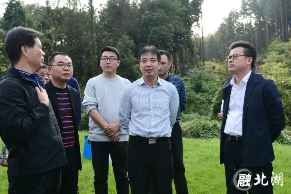 10月10日,北湖区委书记罗成辉,区委副书记,区长王洪灿调研全区部分