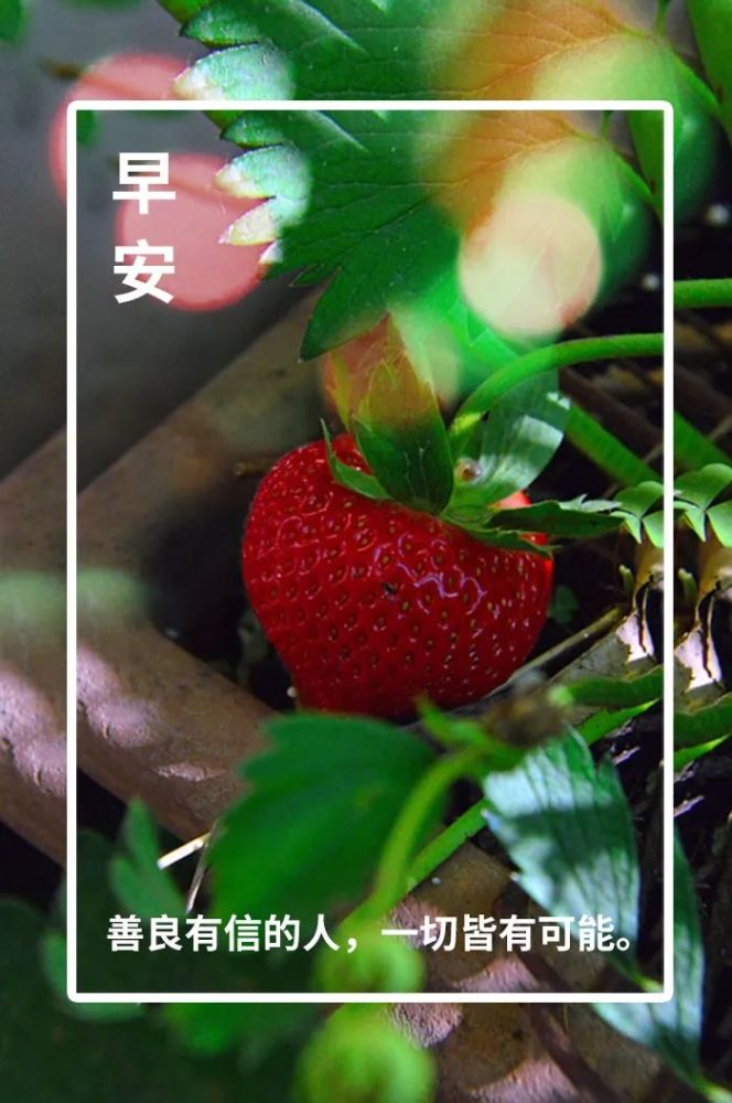 早安心语正能量句子 早安心语一句话