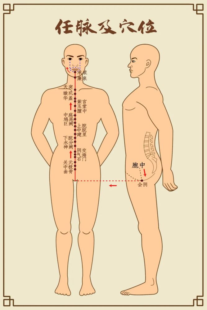 人体十四经络高清大图