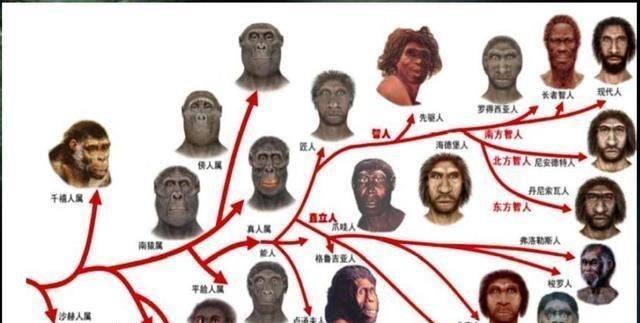 世界上没有"第一个人",但有第一位祖先,你知道是谁吗?