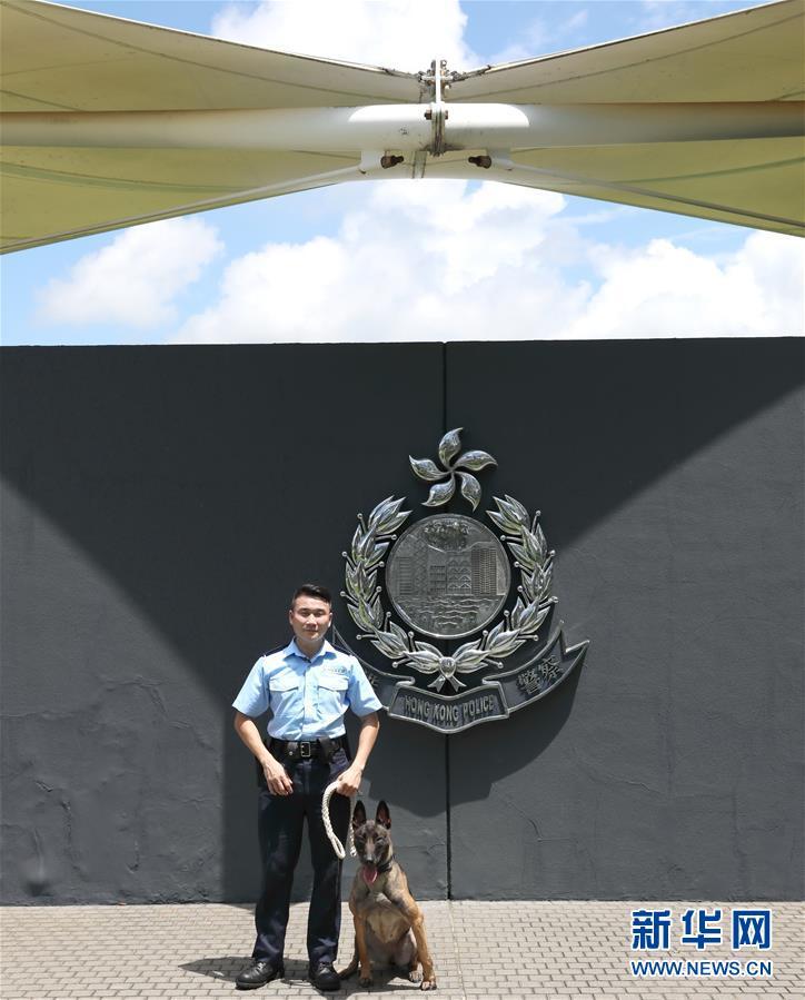 香港巡警大队警犬 香港警犬队领犬员和他的 家人 看游戏