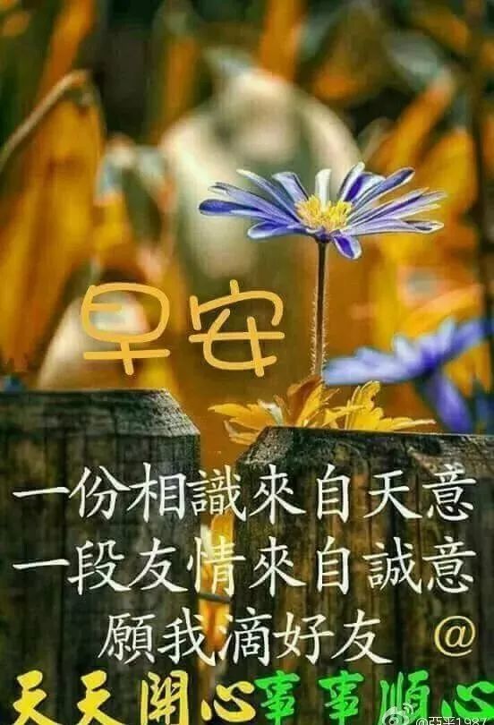 正能量早上好祝福慰问幸福语句配图早安问候祝福语漂亮图片