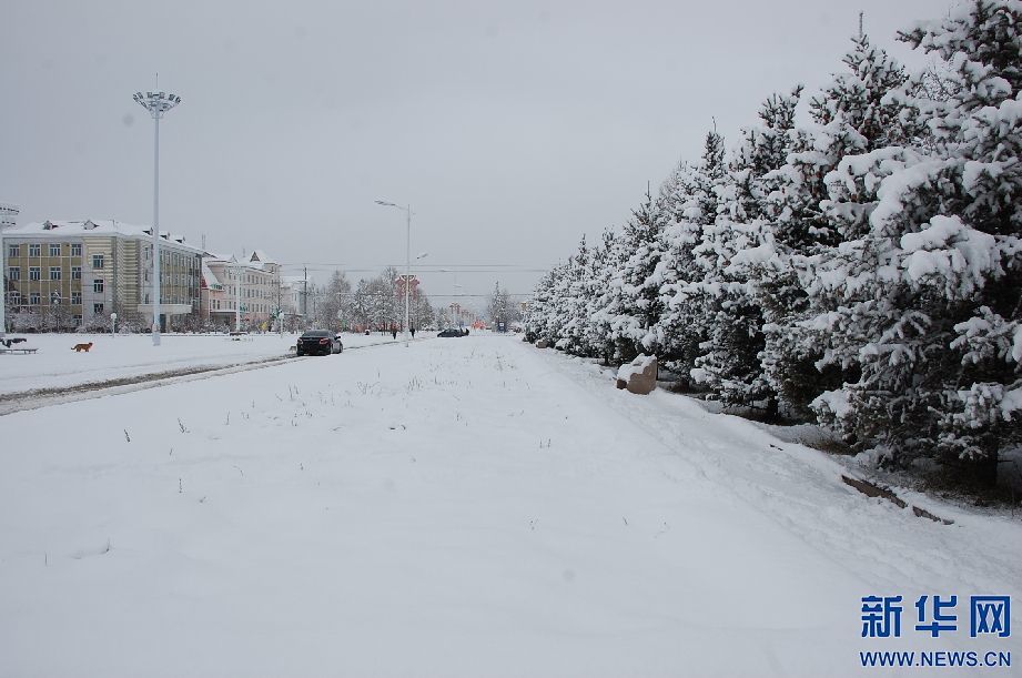 内蒙古呼伦贝尔地区普降大雪_腾讯新闻