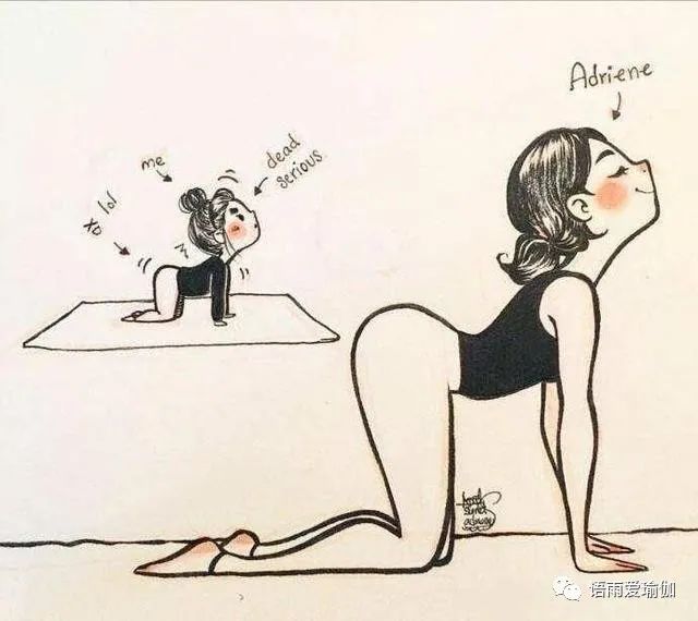 猫伸使式