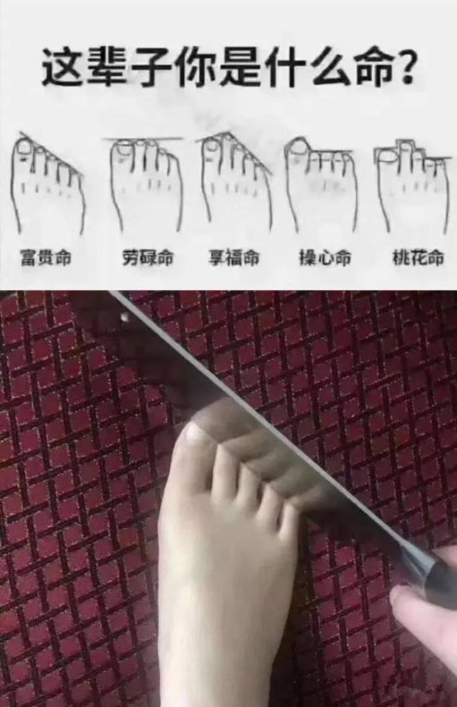 最近有一位网友用大黄米做了一盘炸汤圆,怎么样?这手艺你服不服?