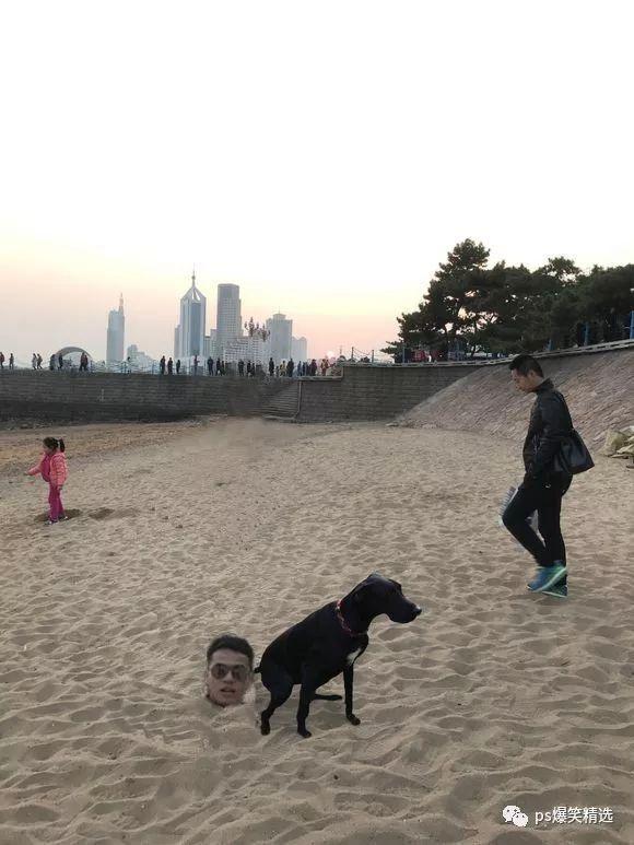 搞笑p图:小伙求大神换个真马骑,结果被p成骑一头熊!