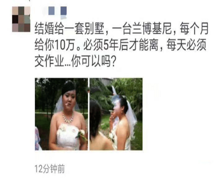 搞笑一刻:最牛辞职报告,我是彻底服了,哈哈哈哈