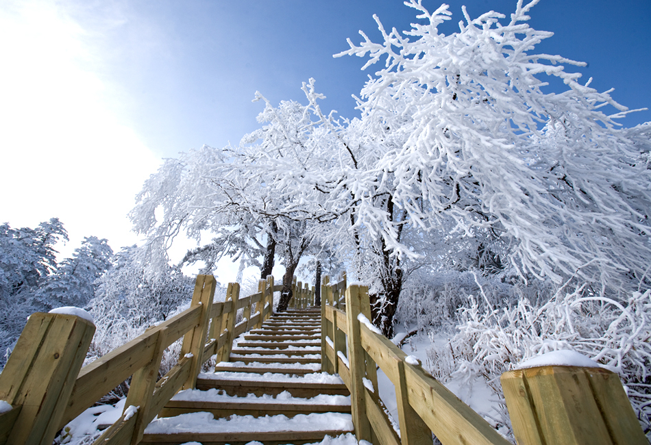 距离成都最近的冰雪世界,西岭雪山,我无法拒绝的地方