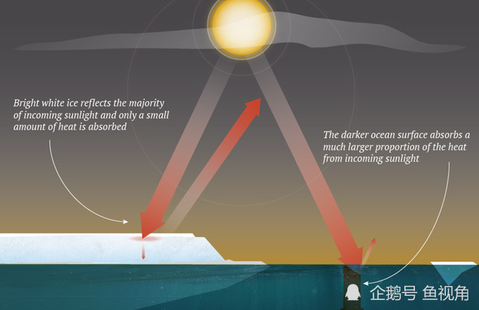 科学家将北极极速暖化的现象称之为 北极放大(arctic amplification)