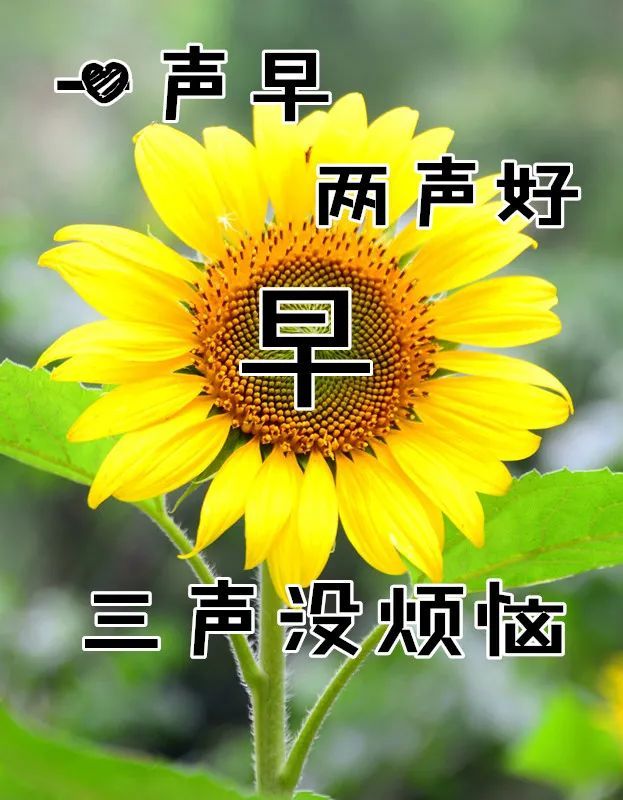 10月16日最漂亮早上好动态表情图片大全,早晨好动图美图大全