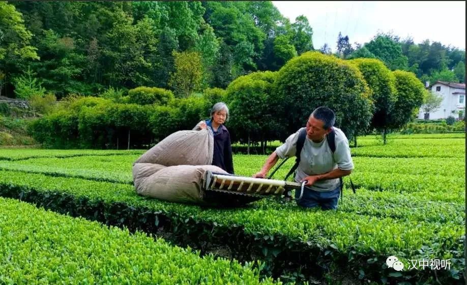 南郑人口数量_汉中南郑区地图
